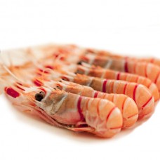 【澳新海鲜】新西兰南极深海小龙虾鳌虾Scampi （Sanford黑盒） 1kg/盒  3号